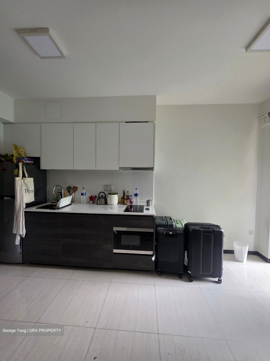 Sims Urban Oasis (D14), Condominium #458787441